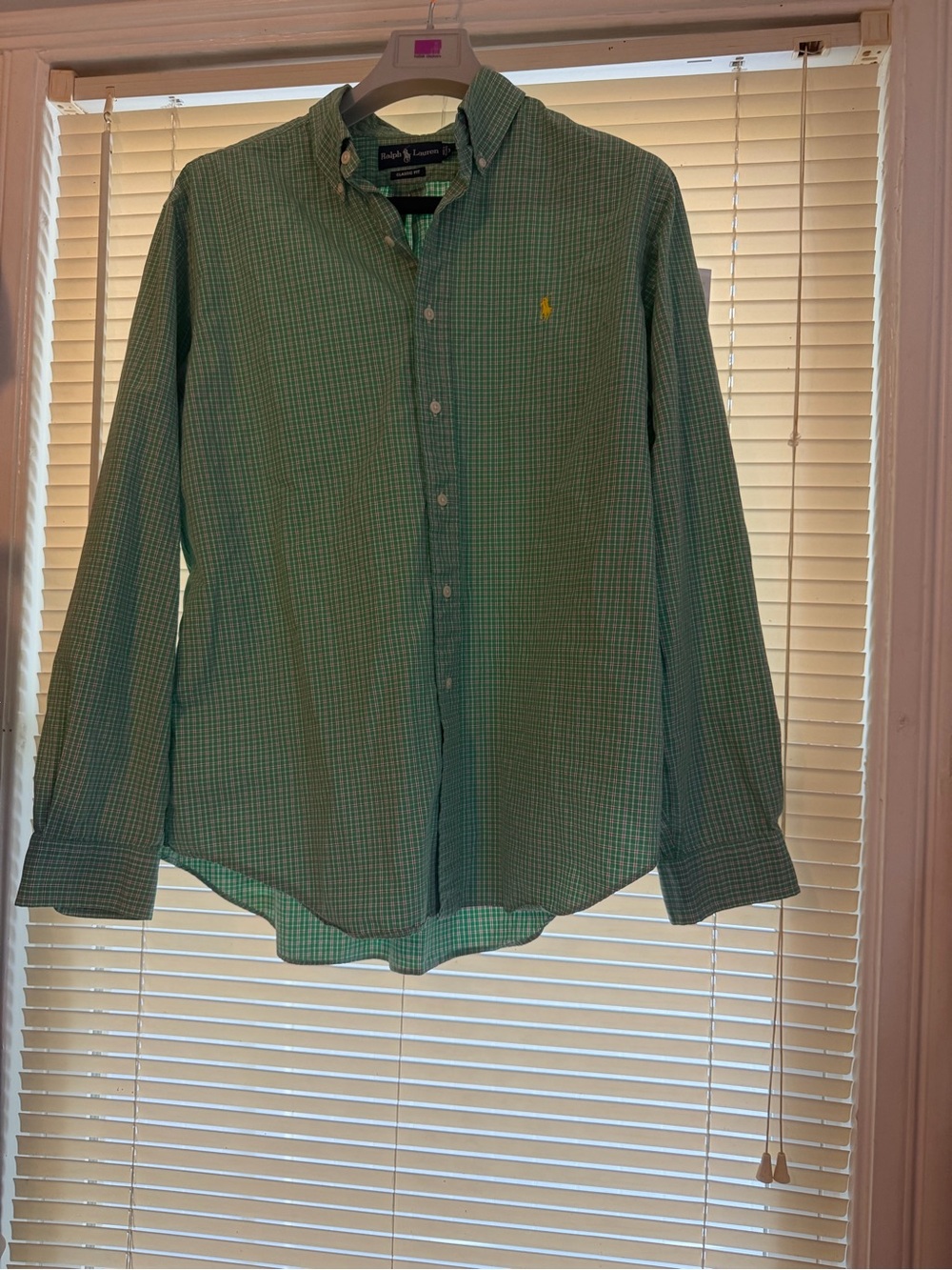 Polo by Ralph Lauren Green Micro-Plaid Button-Down Shirt